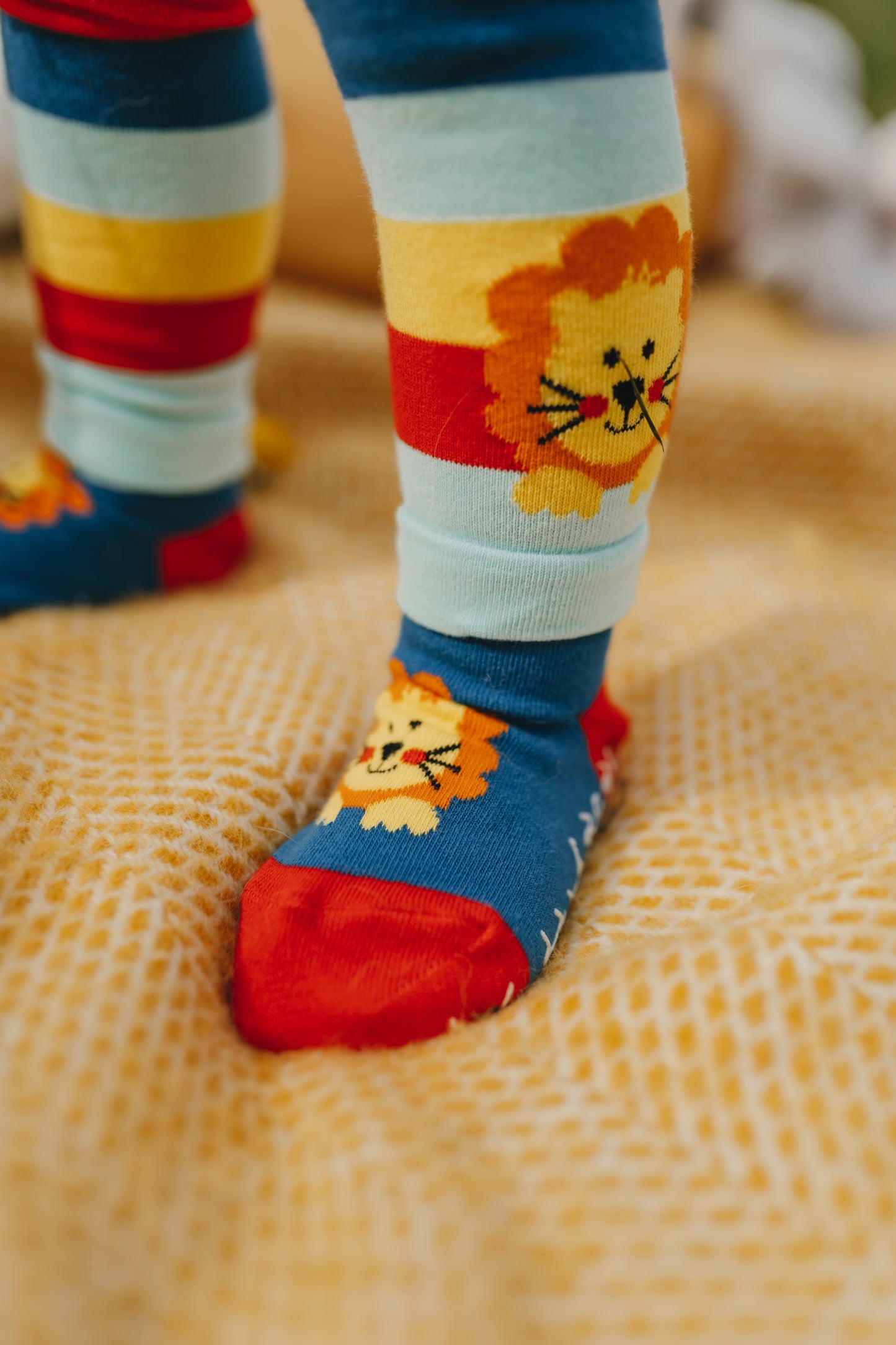 lion baby boys leggings with socks