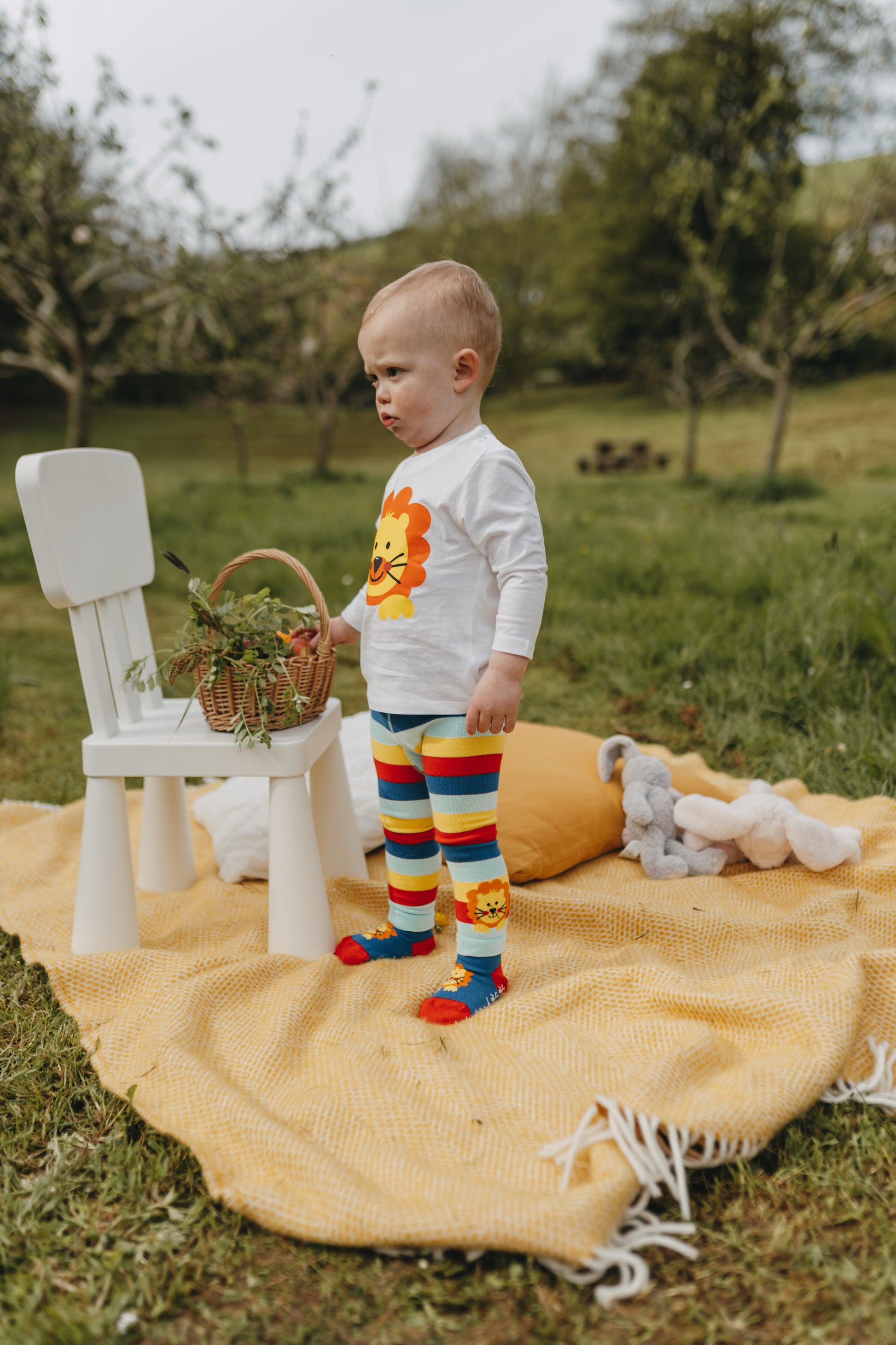 lion baby boys leggings with socks